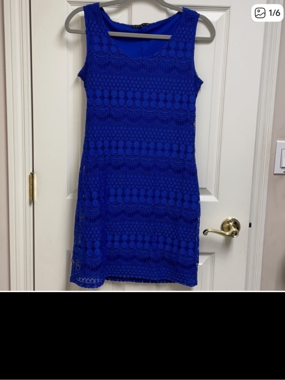 Tiana B. Royal Blue lace shift dress